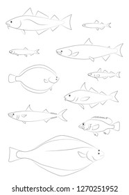 North Atlantic Fish Silhouettes (cod, Halibut, Haddock, Salmon, Rockfish, Mackerel, Herring). Vector Drawing Images Set.