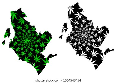 North Ayrshire (United Kingdom, Scotland, Local government in Scotland) map is designed cannabis leaf green and black, North Ayrshire map made of marijuana (marihuana,THC) foliage
