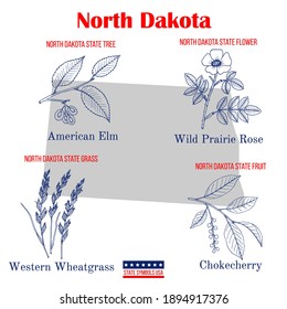 North Dakota. Set of USA official state symbols. Vector hand drawn illustration