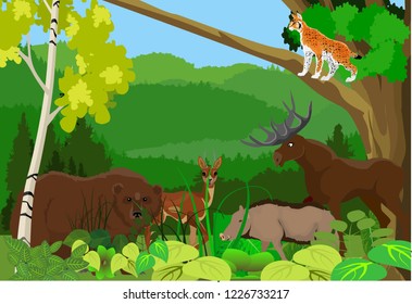 North Eurasia animals in the forest, wildlife natural scene,moose, bear, elk, lynx, vector illustration, grassland