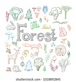 North forest set in vector- plants, animals and birds. Drawn by hand. Vector.