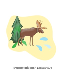 North handsome moose in a meadow, vector illustration