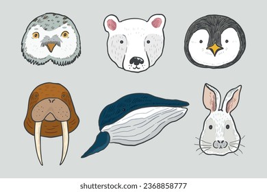 North polar animal face vector illustrations set.