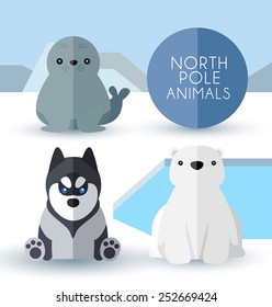 North Pole Animals : Vector Illustration