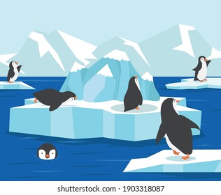 north pole antarctica with penguins family