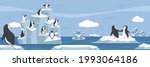 north pole arctic with group penguins landscape