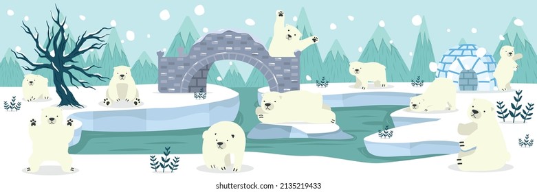 Ártico del polo norte con fondo de oso polar