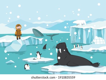 North pole arctic. White bears, seal and penguins on drifting and melting glacier in ocean, snow mountains iceberg polar winter season cartoon vector illustration