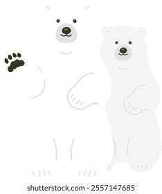 north pole cute white polar bear