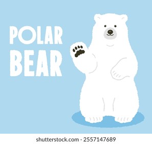 north pole cute white polar bear