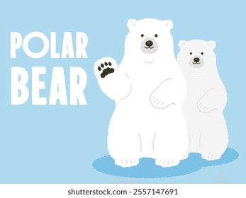 north pole cute white polar bear