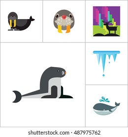 North Pole Icon Set