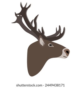 North Reindeer head side view. Horned deer face isolated on white background. Wild forest animal with big horns in north cold climate. Flat vector illustration.