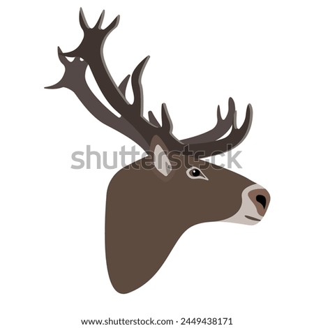 North Reindeer head side view. Horned deer face isolated on white background. Wild forest animal with big horns in north cold climate. Flat vector illustration.