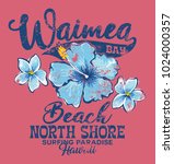 North Shore Waimea bay surfing paradise, vector print for girl summer shirt grunge effect in separate layer