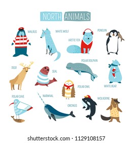North or South polar animals vector cartoon design
