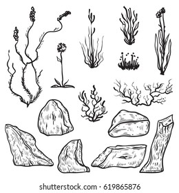 North tundra plants and icebergs. Black and white design elements in sketch style. Vintage hand drawn vector illustration