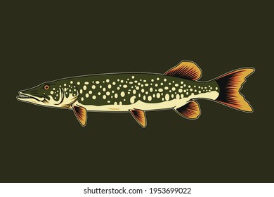 Northen Pike Fish Design Illustration, can be used for mascot, logo, apparel and more.Editable Design