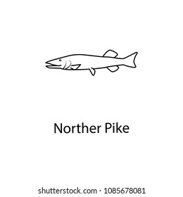 northen pike icon. Element of marine life for mobile concept and web apps. Thin line northen pike icon can be used for web and mobile. Premium icon on white background