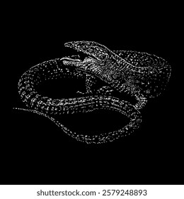 northern alligator lizard hand drawing vector isolated on black background.