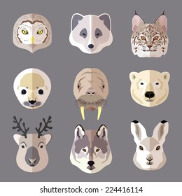 Northern animal and bird portrait flat icons set with owl arctic fox lynx isolated vector illustration.