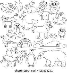 Northern animals elements set, collection of coloring book template, the group of outline digital elements vector illustration, kid educational game page.