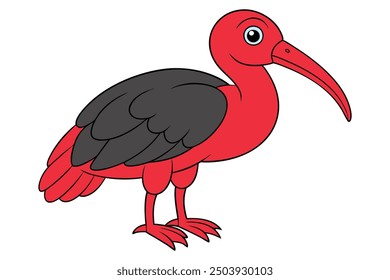 Northern Bald Ibis Bird Vector Illustration Kawaii Clipart