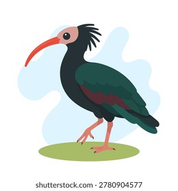 Northern bald ibis standing on green grass in cute flat vector style, Geronticus eremita feathers glowing softly, Northern bald ibis exotic icon art