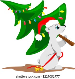 Northern bear in a Christmas hat with bells on a red ribbon in his paw carries a dressed Christmas tree