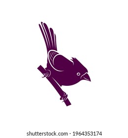 Northern Cardinal bird design vector illustration, Creative Northern Cardinal bird logo design concept template, symbols icons
