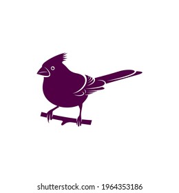 Northern Cardinal bird design vector illustration, Creative Northern Cardinal bird logo design concept template, symbols icons