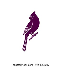 Northern Cardinal bird design vector illustration, Creative Northern Cardinal bird logo design concept template, symbols icons