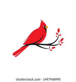 Northern Cardinal bird hanging tree branch vector on a white background