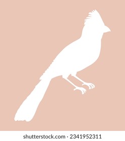 Northern Cardinal bird icon silhouette. Cute small Bird icon isolated on a background. Vector illustration for print, web or nature design.