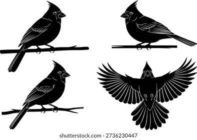 Northern Cardinal Bird Silhouette Vector Set, Songbird Perched on Branch and Flying in Flight, Nature Wildlife Illustration Isolated on White Background