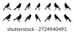 northern cardinal bird silhouettes vector set cardinal bird