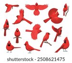 Northern Cardinal Bird Winter Red Various Poses Cartoon Vector Character