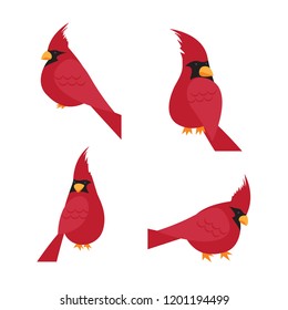 Northern cardinal birds mascot set. Four vector illustrations of Northern cardinal birds in flat style.