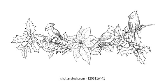 Northern cardinal, Finch family birds, Holly and poinsettia branches, vector illustration