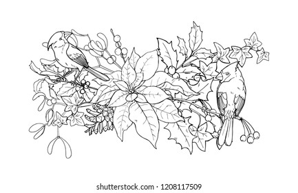 Northern cardinal, Finch family birds, Holly and poinsettia branches, vector illustration