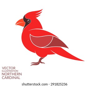 Northern cardinal. Isolated bird on white background. Vector illustration EPS10