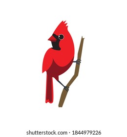 Northern Cardinal on a branch of tree vector illustration isolated on a white background