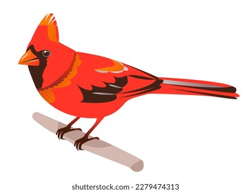 Northern Cardinal. A red bird is sitting on a branch. Cartoon vector illustration on a white background