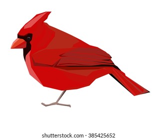 Northern cardinal, Red Cardinal bird, vector illustration art bird, wildlife.