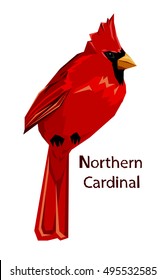 Northern cardinal, Red Cardinal bird, vector illustration bird, wildlife.