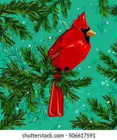 Northern cardinal, Red Cardinal bird, vector illustration bird, wildlife. Hand Drawn Vector Illustration of bird. Winter illustration