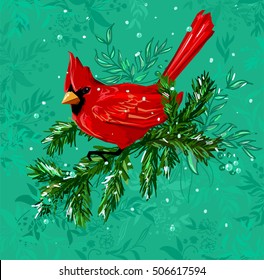 Northern cardinal, Red Cardinal bird, vector illustration bird, wildlife. Hand Drawn Vector Illustration of bird. Winter illustration