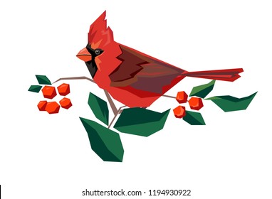 Northern cardinal, Red Cardinal, vector illustration bird, wildlife.