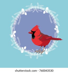 Northern Cardinal, vector, illustration, wildlife, redbird, animal, fauna, nature, songbird, wild, bird