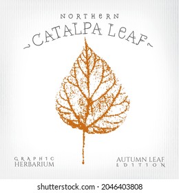 Northern Catalpa Leaf with Authentic Logo Lettering Vintage Print Style Illustration from Autumn Leaf Edition of Graphic Herbarium - Black and Rusty on Grunge Background - Vector Stamp Graphic Design